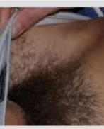 Проститутка Stephanie